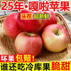 Northeastern Gala Apple 5kg 3kg Freshly Picked Crispy Sweet Small Apple Seasonal Fruit for Pregnant Women Weight 5kg