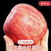 Jingdida Yantai Apple Fruit Red Fuji Apple Net Weight 5 Jin Single Fruit 80mm + New Year's Fruit Direct Shipping from the Source