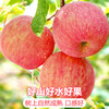 Jingdida Yantai Apple Fruit Red Fuji Apple Net Weight 5 Jin Single Fruit 80mm + New Year's Fruit Direct Shipping from the Source