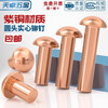 Tianzhuo Hardware National Standard Pure Copper Full Copper Percussion Solid Round Head Rivet Semi-round Head Yuan Cap Copper Nail M2M3M4M5M6M8mm M2*10-200 pieces
