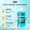 Listerine Mouthwash Ice Blue Refreshing Flavor Fresh Breath Deep Cleansing 500mL