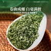 Yifutang Green Tea New Tea Mingqian Young Bud Special Grade A+ Biluochun Fragrance Jingluoyun 250g Self-drink New Year's Gift Tea