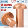 Tianzhuo Hardware National Standard Pure Copper Full Copper Percussion Solid Round Head Rivet Semi-round Head Yuan Cap Copper Nail M2M3M4M5M6M8mm M2*10-200 pieces