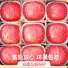 Jingdida Yantai Apple Fruit Red Fuji Apple Net Weight 5 Jin Single Fruit 80mm + New Year's Fruit Direct Shipping from the Source