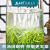 Wuyun Village 2025 new tea Xinyang Maojian 500g green tea before the rain special sprouts 2 cans total 1 jin for self-drinking with gift bag box