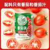 Tunhe fresh tomato cubes 400g Inner Mongolia Xinjiang diced tomatoes tomato cubes canned tomato sauce new arrival in August 25