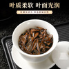 Qichun White Tea Longzhu 19-year-old white tea Fuding Gongmei Longzhu tea cold brew tea for self-drinking portable pack 30g