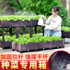 Huiyi special vegetable growing box planting box family balcony vegetable growing pot artifact roof rectangular plastic outdoor flower box single layer 2 combined box 74*37*21cm