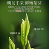 A cup of fragrant tea leaf green tea Mingqian mountain cloud 500g 2025 new tea sunshine sufficient New Year gift box for self-drinking