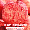 Jingdida Yantai Apple Fruit Red Fuji Apple Net Weight 5 Jin Single Fruit 80mm + New Year's Fruit Direct Shipping from the Source