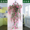 Time Bird Simulation Wall Plant Vine Rose Chlorophytum Plastic Decoration Wall Hanging Rattan Living Room Indoor Hanging Basket Fake Flower 1 Bundle with Buds Rose Vine White Green + Sticky Hook