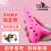 Swan (SWAN) T02 Ocarina 12-hole AC alto C key resin plastic children's entry-level teaching musical instrument school special white