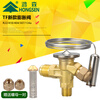 Refrigerator air conditioning cold storage TF type right angle internal balance R22/R410/134A throttling thermal expansion valve R410 valve body with (core 2) free nut