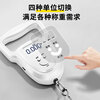 Jingyan portable electronic scale, household portable scale, small spring express scale, high-precision special hook for selling vegetables, small scale, three-use model, charging + plug-in + battery, can weigh 100 kilograms, one-click tare and set to zero | high precision 0.01kg | one-click change of four units