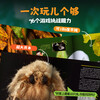 Discover the great discovery in the natural history, look for it (all three volumes), come and look for it together, find out the master of insect disguise, and discover the amazing nature~Hurry up, don’t fall behind!