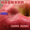 Shandong ugly apples, high quality, slightly blemished, red, Fuji, clearance, special price to assist farmers, 25025, picked in season, 4 pieces (from 75mm), very cost-effective, please be careful when bidding.