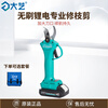 Dayi lithium battery electric scissors rechargeable pruning branches fruit tree gardening scissors pruning tree artifact A5-5301-20S dual battery 2000 mAh