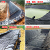 Fish pond anti-seepage film, tarpaulin, PE mulch film, agricultural film, thickened new material, anti-leakage and anti-seepage plastic film, 190g thickened first-class new material, new national standard, thickened 6 meters wide, take a few pieces if you want a few meters long