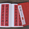 Mi Fu's running script collection of Spring Festival couplets (85 pieces, 12 horizontal batches) close copy of calligraphy couplets, copybooks, couplet books, brush calligraphy and soft pen copybooks, Chinese bookstore calligraphy beginners' Chinese bookstore collection of calligraphy Spring couplets Mi Fu's running script