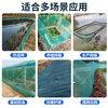 Star Dad Anti-bird Net Fruit Tree Orchard Greenhouse Nylon Line Chicken Fence Protection Net Balcony Fish Pond Cherry Tree Grape Window Polyester Skynet Grid Rope Net 2 meters wide and 10 meters long