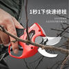 Yong Huan German imported electric scissors, fruit tree pruning shears, rechargeable, powerful wireless lithium battery, dedicated for gardening and thick branches, brushless 5 cm, one electric + 2 knives, free folding saw
