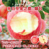 Yantai Red Fuji Apple Crisp, sweet and juicy fresh fruit Qixia Apple Authentic Yantai Red Fuji 8.5 catties - single fruit over 80mm