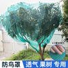 Star Dad Anti-bird Net Fruit Tree Orchard Greenhouse Nylon Line Chicken Fence Protection Net Balcony Fish Pond Cherry Tree Grape Window Polyester Skynet Grid Rope Net 2 meters wide and 10 meters long