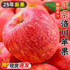 Jingmi Luochuan Red Fuji Apple 18 pieces 165g + Shaanxi Fresh Fruit Fresh New Year Festival Straight from the source