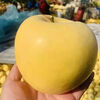 Jingdida Shandong Yantai Golden Venus Apple, net weight 5 pounds, large fruit, single fruit 75mm + direct shipping from the fruit source, free shipping