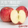 Luochuan apple Shaanxi Yan'an Red Fuji seasonal apple fruit gift box gift 40 pieces 80mm fruit diameter about 9.5kg 40 pieces 80