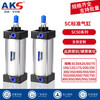 AKS SC standard cylinder SC50X25X50X75X100X125X150X175X200X250X300 SC50*300