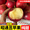 2025 Authentic Yunnan Zhaotong Rock Candy Apple Fresh Fruit Apple Seasonal Crisp Sweet Fruit Origin Straight Hair 5 Jin Packed Large Fruit (80-90mm)