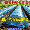 Agricultural plastic film, small shed film, dripping film, special film for greenhouse planting, transparent vegetable growing plastic, thermal insulation and cold protection 4 silk blue dripping film, new material 6.5m*10m