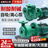 FPZ self-priming pump FP centrifugal pump reinforced polypropylene anti-corrosion chemical pump acid and alkali resistant plastic 32FP11 750W//centrifugal pump 220V