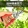 Qiaobolainong helper fruit picking scissors, fruit thinning scissors, grape flower thinning scissors, flower pruning scissors, citrus pepper special fruit picking scissors, straight head dipping scissors