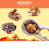 Dipurse sheller tool household chestnut multi-functional artifact for opening walnut nuts hazelnut pliers walnut clip