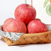 Yantai Red Fuji Apple Crisp, sweet and juicy fresh fruit Qixia Apple Authentic Yantai Red Fuji 8.5 catties - single fruit over 80mm