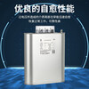 Suzhou Surong BCMJ/BSMJ0.48/0.525/0.25 self-healing low voltage compensation parallel power capacitor 0.48-30-3