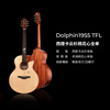Truman Truman Guitar 150 280 Dolphin Story comprehensive single-board folk guitar for beginners and advanced 41-inch acoustic guitar Dolphin Story 1955TFL pointed corner