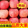 Yantai Red Fuji Apple Crisp, sweet and juicy fresh fruit Qixia Apple Authentic Yantai Red Fuji 8.5 catties - single fruit over 80mm