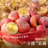 Jingdida Apple Gift Box Xinjiang Aksu Rock Candy Heart Apple Gift Box Net Weight 8 Jin Single Fruit 285g Straight from the Source