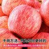 Yantai Red Fuji Apple Crisp, sweet and juicy fresh fruit Qixia Apple Authentic Yantai Red Fuji 8.5 catties - single fruit over 80mm