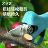 Dayi lithium battery electric scissors rechargeable pruning branches fruit tree gardening scissors pruning tree artifact A5-5301-20S dual battery 2000 mAh