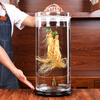 LZJV imported quality glass sealed jar from Japan, special wine bottle for soaking wine with thickened ginseng, 70 catties single bottle, diameter 25cm