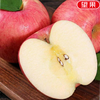 Jingdida Yantai Red Fuji apple net weight 9 catties single fruit 80mm + fresh fruit New Year's Day fruit source direct shipping free shipping