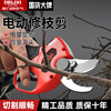 DELIXI electric electric pruning shears lithium battery fruit tree shears rechargeable garden pruning shears special branch scissors Speed Shear King 2.0Ah Brushless Economic Edition 1 Electric
