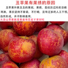 Jingxiansheng Sichuan Daliangshan ugly apples, net weight 4.5kg, single fruit 70-75mm, Yanyuan ugly apples, straight from the source