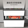 Ronshen IDP double purifier 503pro French multi-door double-open ultra-thin embedded active sterilization refrigerator household first-class energy-saving frost-free BCD-503WD15MPQLA white BCD-503WD15MPQLA Langyue white