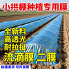 Agricultural plastic film, small shed film, dripping film, special film for greenhouse planting, transparent vegetable growing plastic, thermal insulation and cold protection 4 silk blue dripping film, new material 6.5m*10m