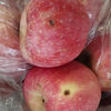 Shandong ugly apples, high quality, slightly blemished, red, Fuji, clearance, special price to assist farmers, 25025, picked in season, 4 pieces (from 75mm), very cost-effective, please be careful when bidding.